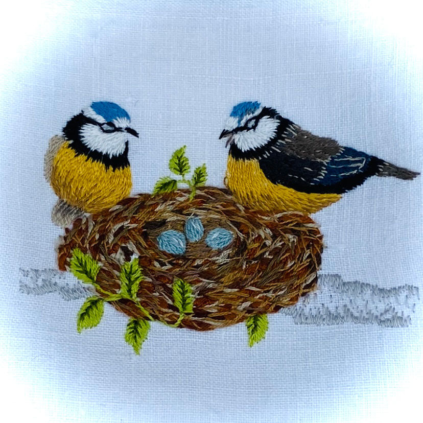 Blue Tit Nest Embroidery
